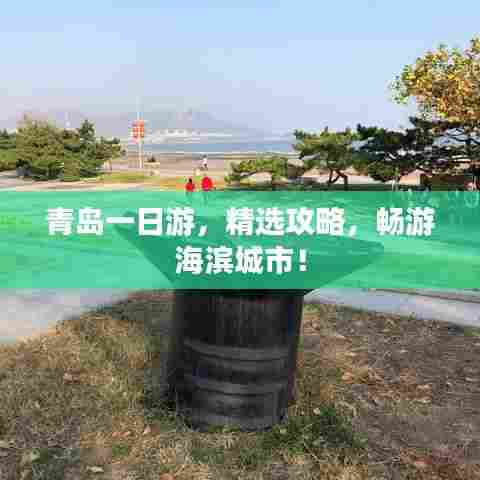 纲挈目张 第6页