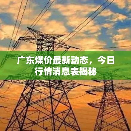 广东煤价最新动态，今日行情消息表揭秘
