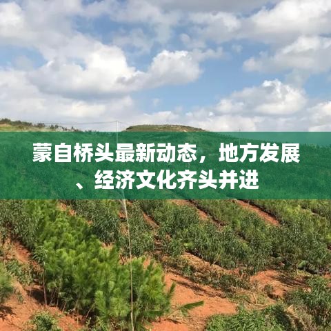 蒙自桥头最新动态,地方发展、经济文化齐头并进