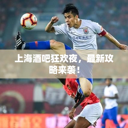 上海酒吧狂欢夜,最新攻略来袭!