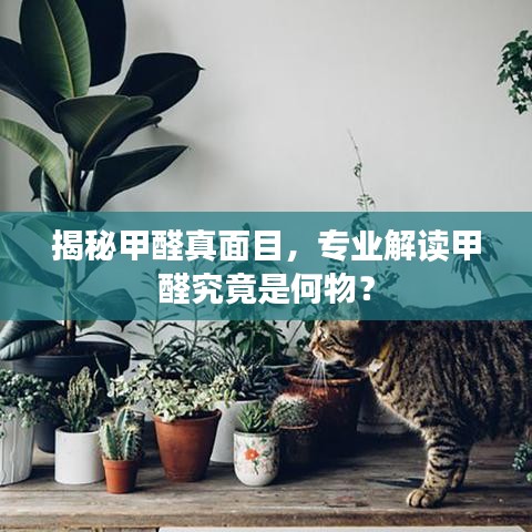 揭秘甲醛真面目,专业解读甲醛究竟是何物?