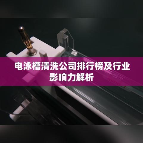 电泳槽清洗公司排行榜及行业影响力解析