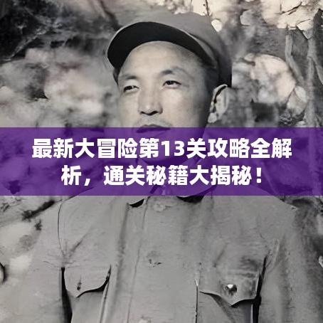 最新大冒险第13关攻略全解析,通关秘籍大揭秘!