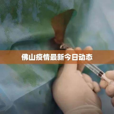 佛山疫情最新今日动态