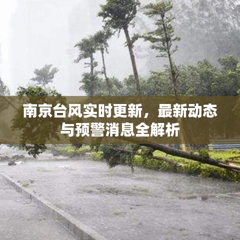 南京台风实时更新,最新动态与预警消息全解析