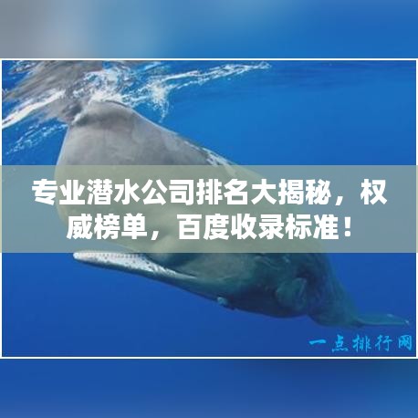 专业潜水公司排名大揭秘,权威榜单,百度收录标准!