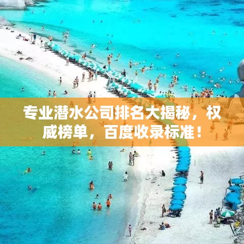 专业潜水公司排名大揭秘,权威榜单,百度收录标准!