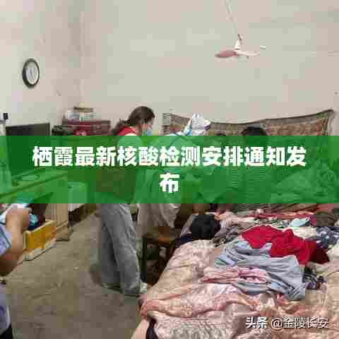 栖霞最新核酸检测安排通知发布