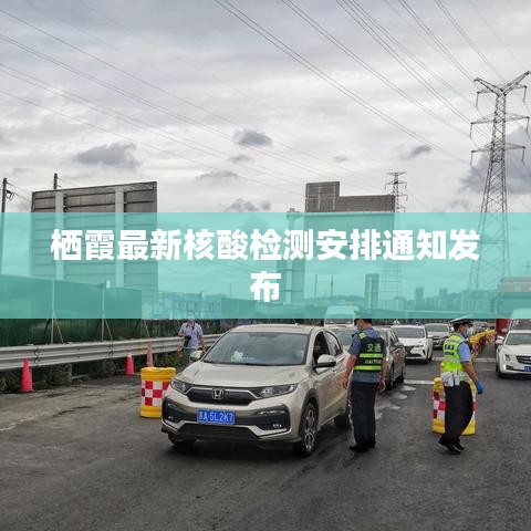 栖霞最新核酸检测安排通知发布