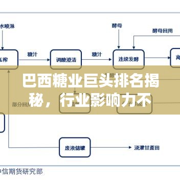 巴西糖业巨头排名揭秘,行业影响力不容小觑