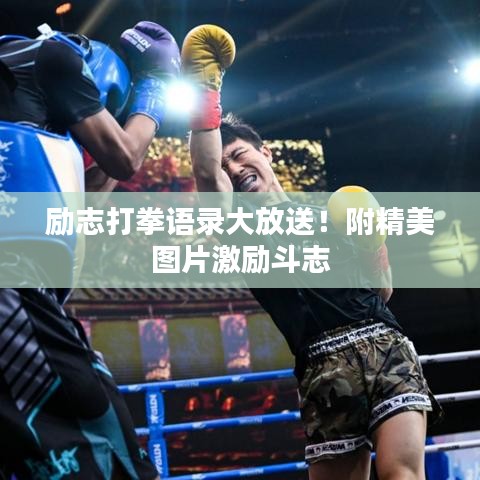 励志打拳语录大放送!附精美图片激励斗志