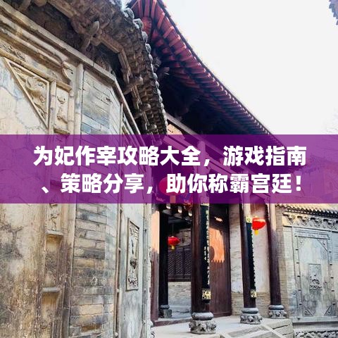 为妃作宰攻略大全，游戏指南、策略分享，助你称霸宫廷！