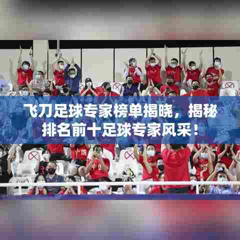 飞刀足球专家榜单揭晓,揭秘排名前十足球专家风采!