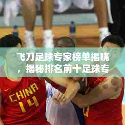 飞刀足球专家榜单揭晓，揭秘排名前十足球专家风采！