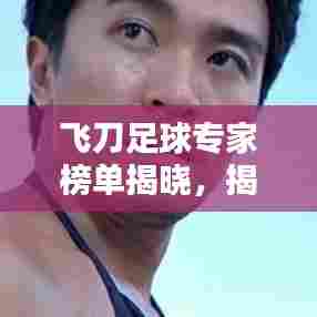 飞刀足球专家榜单揭晓,揭秘排名前十足球专家风采!