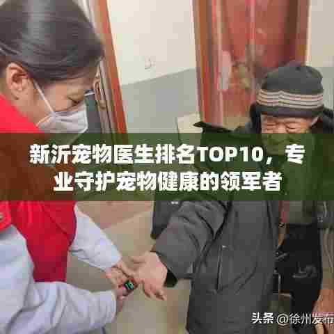 新沂宠物医生排名TOP10，专业守护宠物健康的领军者