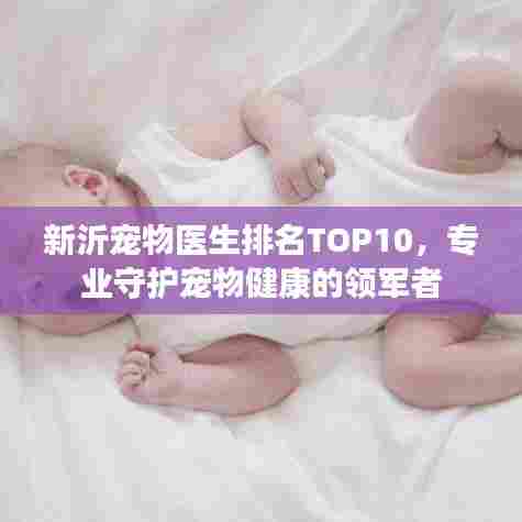 新沂宠物医生排名TOP10,专业守护宠物健康的领军者