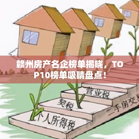 笨鸟先飞 第4页