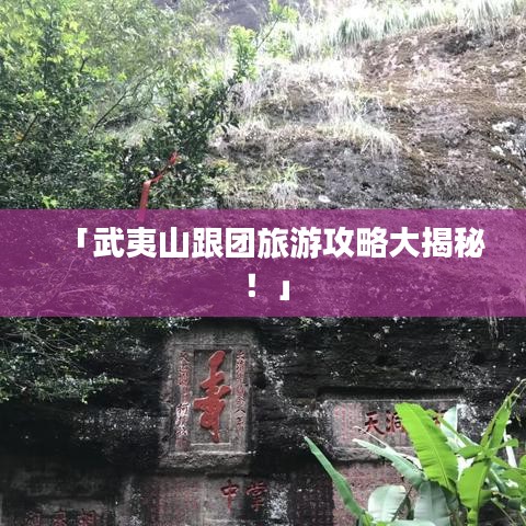 芳兰竟体 第4页