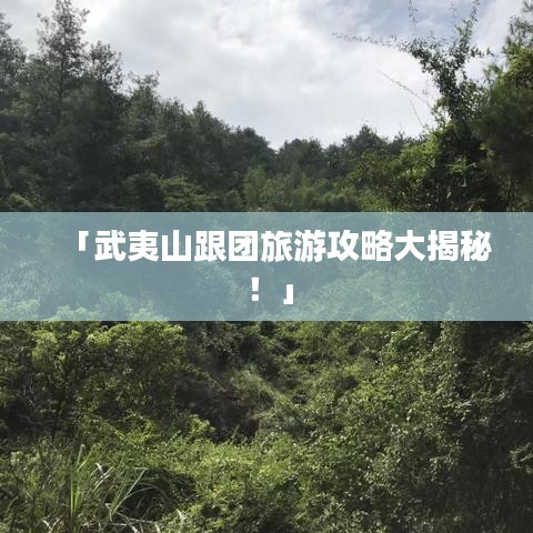 「武夷山跟团旅游攻略大揭秘!」