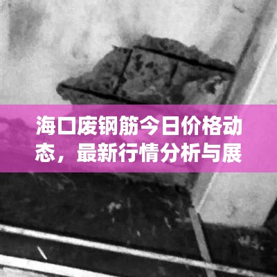 海口废钢筋今日价格动态,最新行情分析与展望