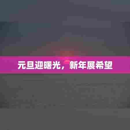 元旦迎曙光,新年展希望