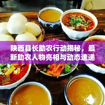 陕西县长助农行动揭秘,最新助农人物亮相与动态速递