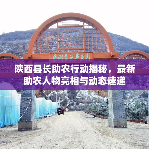 陕西县长助农行动揭秘,最新助农人物亮相与动态速递