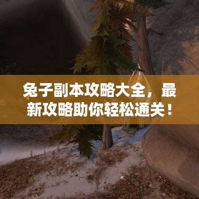 兔子副本攻略大全，最新攻略助你轻松通关！