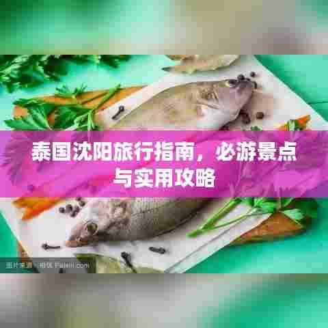 泰国沈阳旅行指南，必游景点与实用攻略