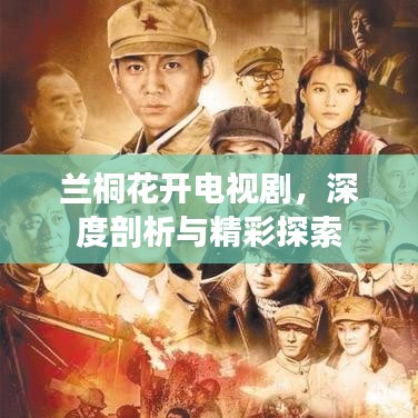 兰桐花开电视剧，深度剖析与精彩探索