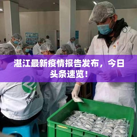 湛江最新疫情报告发布,今日头条速览!