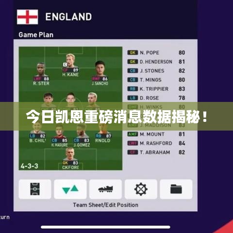 今日凯恩重磅消息数据揭秘!