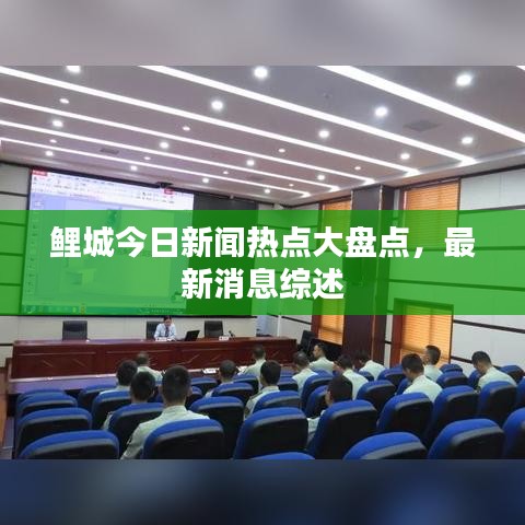 鲤城今日新闻热点大盘点，最新消息综述