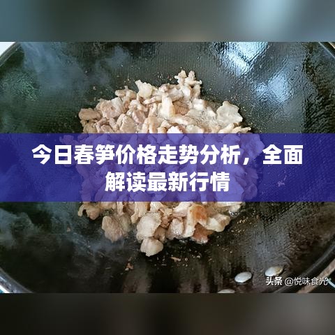 今日春笋价格走势分析，全面解读最新行情
