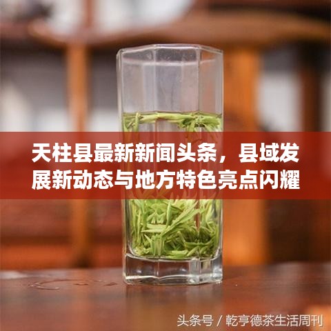 天柱县最新新闻头条，县域发展新动态与地方特色亮点闪耀登场