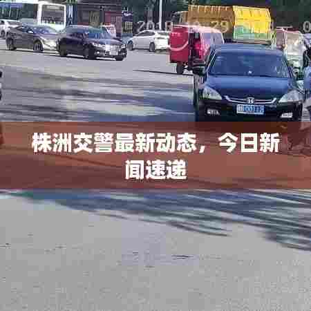 株洲交警最新动态,今日新闻速递