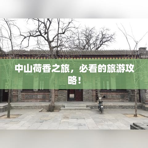 中山荷香之旅,必看的旅游攻略!