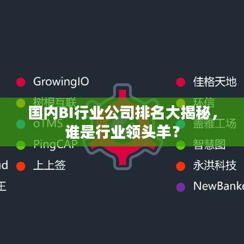 国内BI行业公司排名大揭秘,谁是行业领头羊?