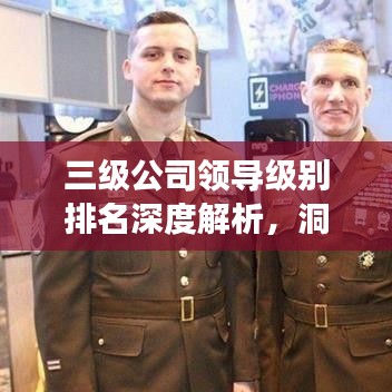 三级公司领导级别排名深度解析,洞悉权力架构与层级关系!