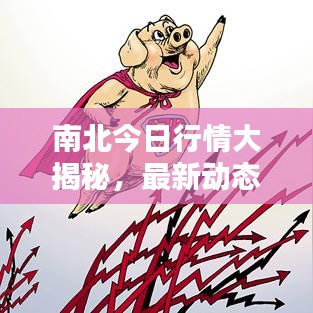 南北今日行情大揭秘，最新动态一网打尽