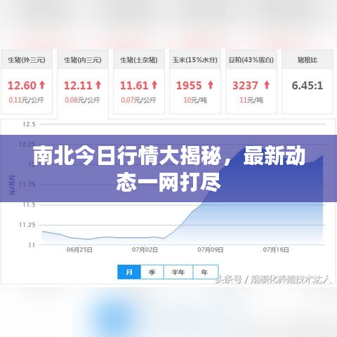 南北今日行情大揭秘,最新动态一网打尽