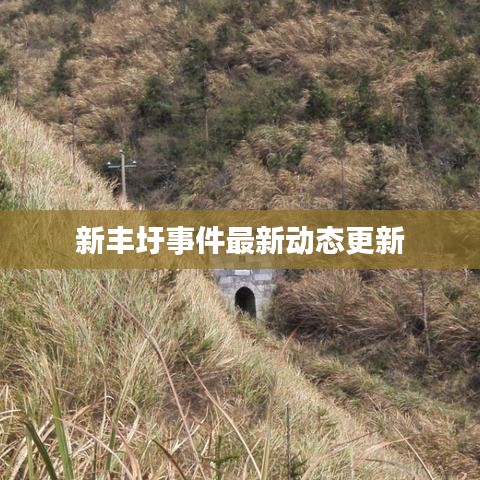 新丰圩事件最新动态更新