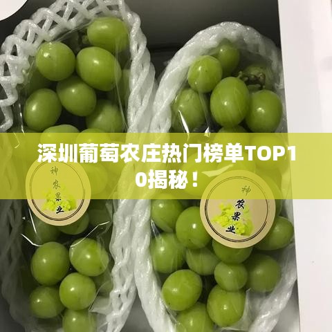 深圳葡萄农庄热门榜单TOP10揭秘!