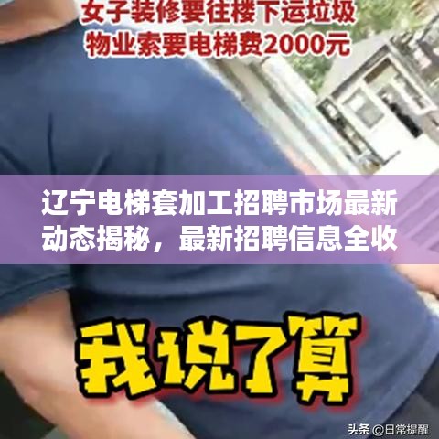 辽宁电梯套加工招聘市场最新动态揭秘,最新招聘信息全收录