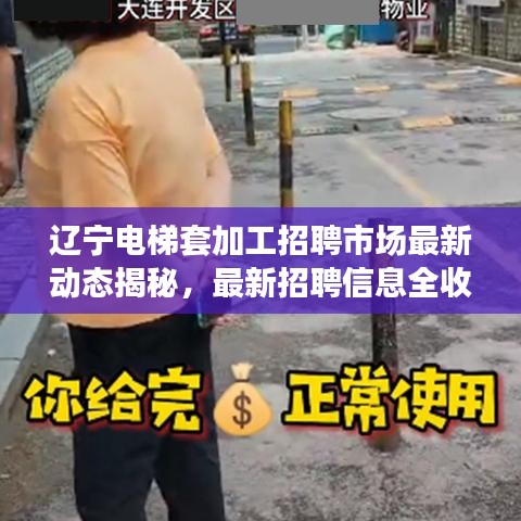 辽宁电梯套加工招聘市场最新动态揭秘,最新招聘信息全收录