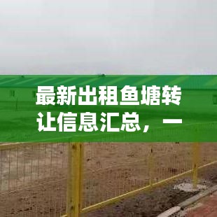 最新出租鱼塘转让信息汇总，一站式查询，满足您的需求！