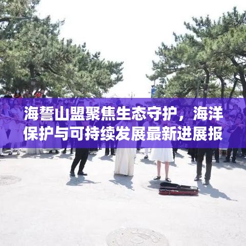 海誓山盟聚焦生态守护,海洋保护与可持续发展最新进展报道