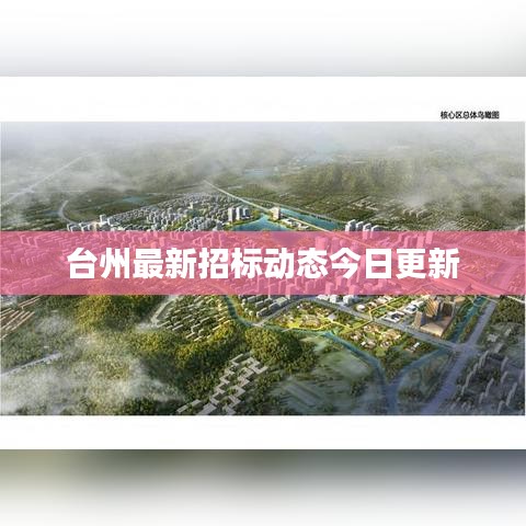 台州最新招标动态今日更新