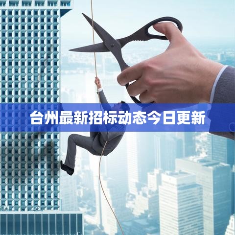 台州最新招标动态今日更新